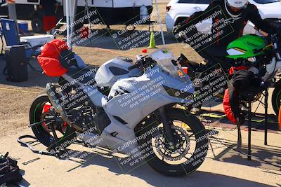 media/Jul-19-2025-TrackDaz (Sat) [[ff1509a44a]]/Around the Pits/